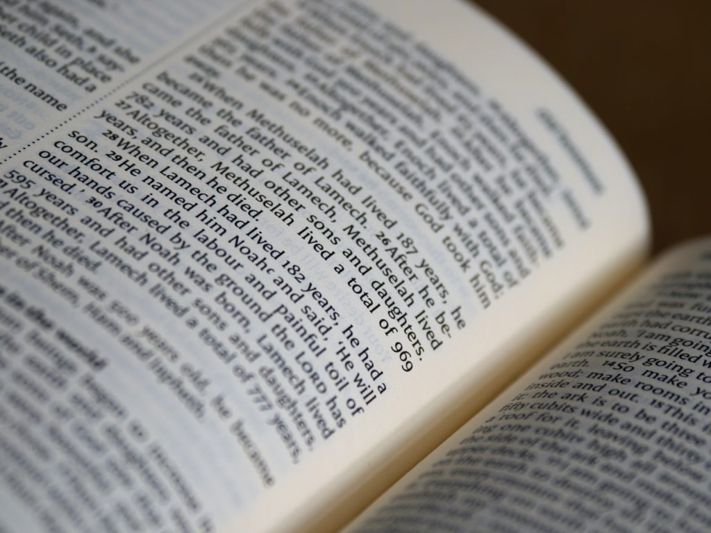 Self-Supervised Learning findet breite Anwendung im Bereich Natural Language Processing (NLP)